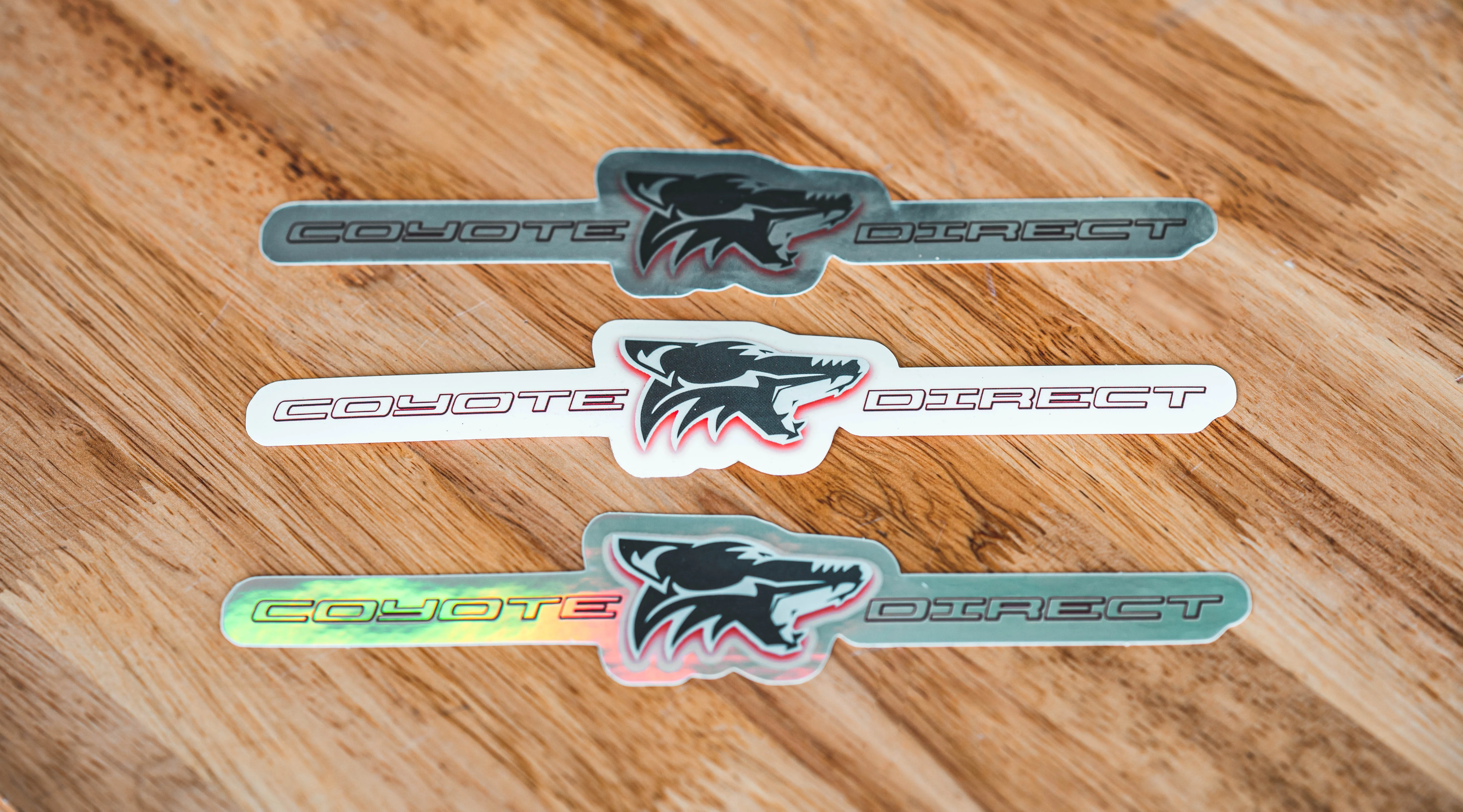 Coyote Direct Decal - Image 5